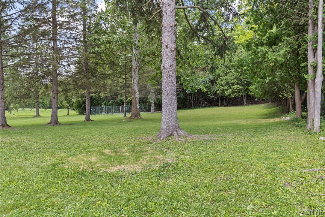 121 Eureka Drive Manlius, NY 13104 - Photo 6 of 31