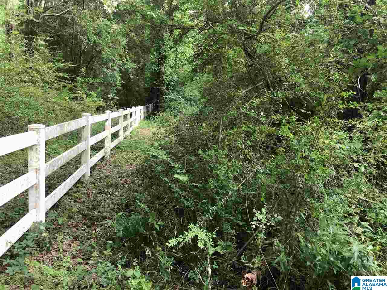 0 Carleton Point Drive, Unit 5 Wilsonville, AL 35186 - Photo 2 of 5
