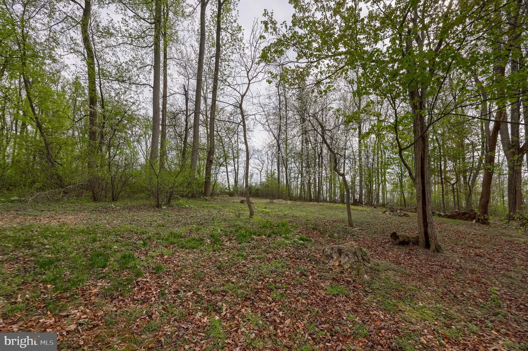 171 Fox Hollow Road Pequea, PA 17565 - Photo 18 of 28 a view of outdoor space with trees