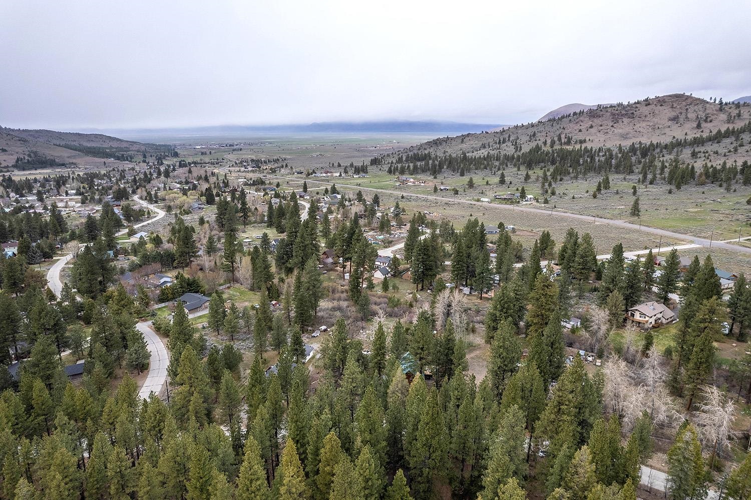 626 Bear Valley Road Loyalton, CA 96118 - Photo 38 of 39 an aerial view of residential houses with outdoor space and trees