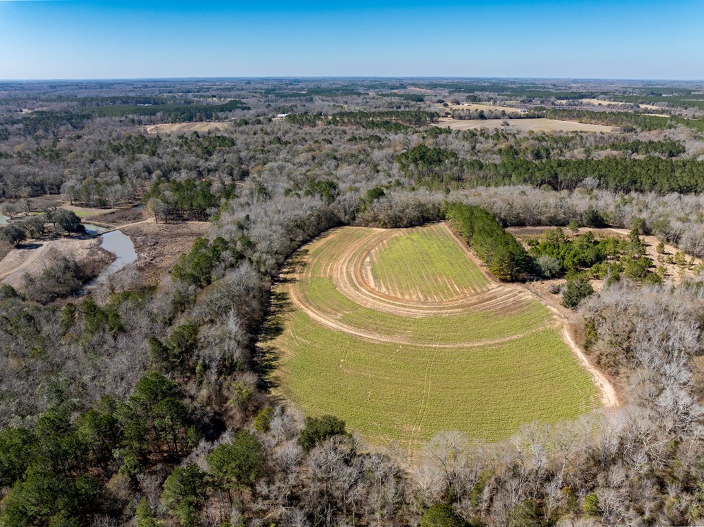 11034-11134 Cty Road Slocomb, AL 36375 - Photo 17 of 80