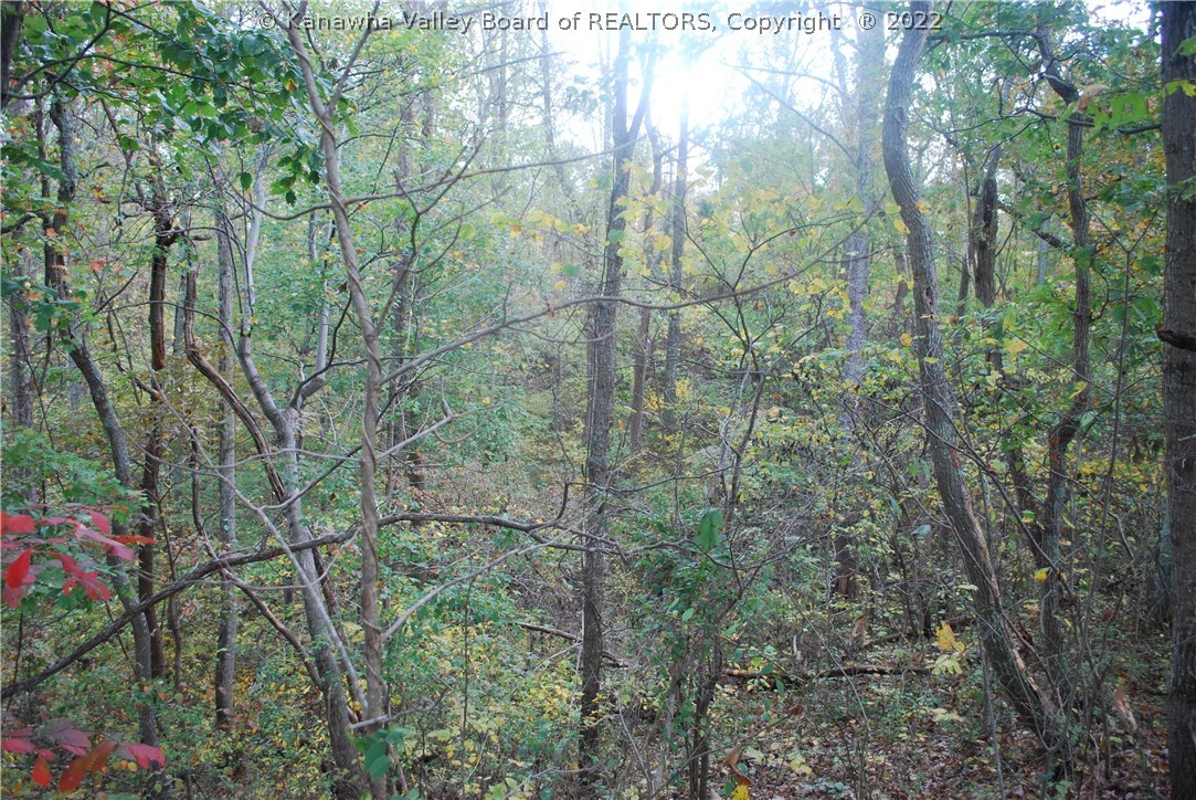 4122 Palestine Ridge Road Ashton, WV 25503 - Photo 7 of 26 Gallery Image 7