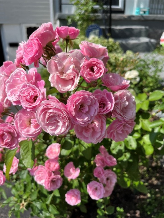 576 Falstaff Road Irondequoit, NY 14609 - Photo 4 of 24