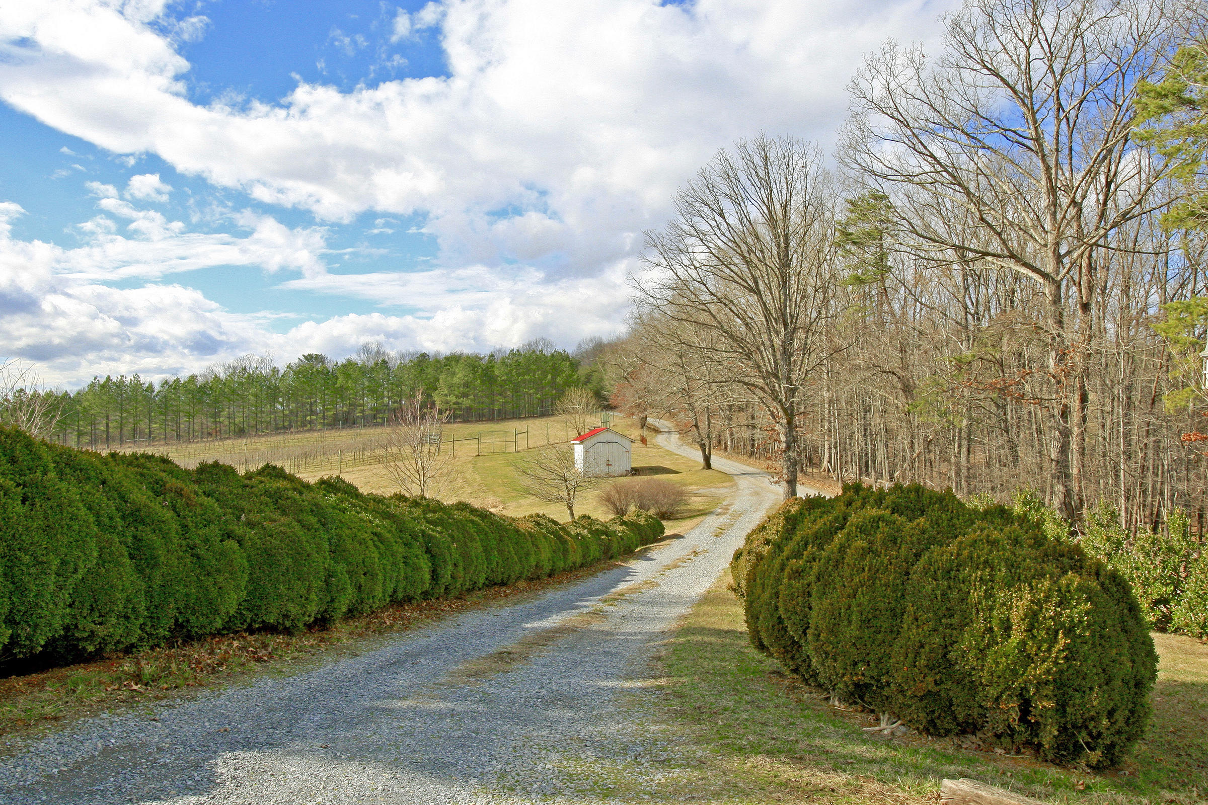 1870 Turner Branch Road Goodview, VA 24095 - Photo 35 of 52 DRIVEWAY