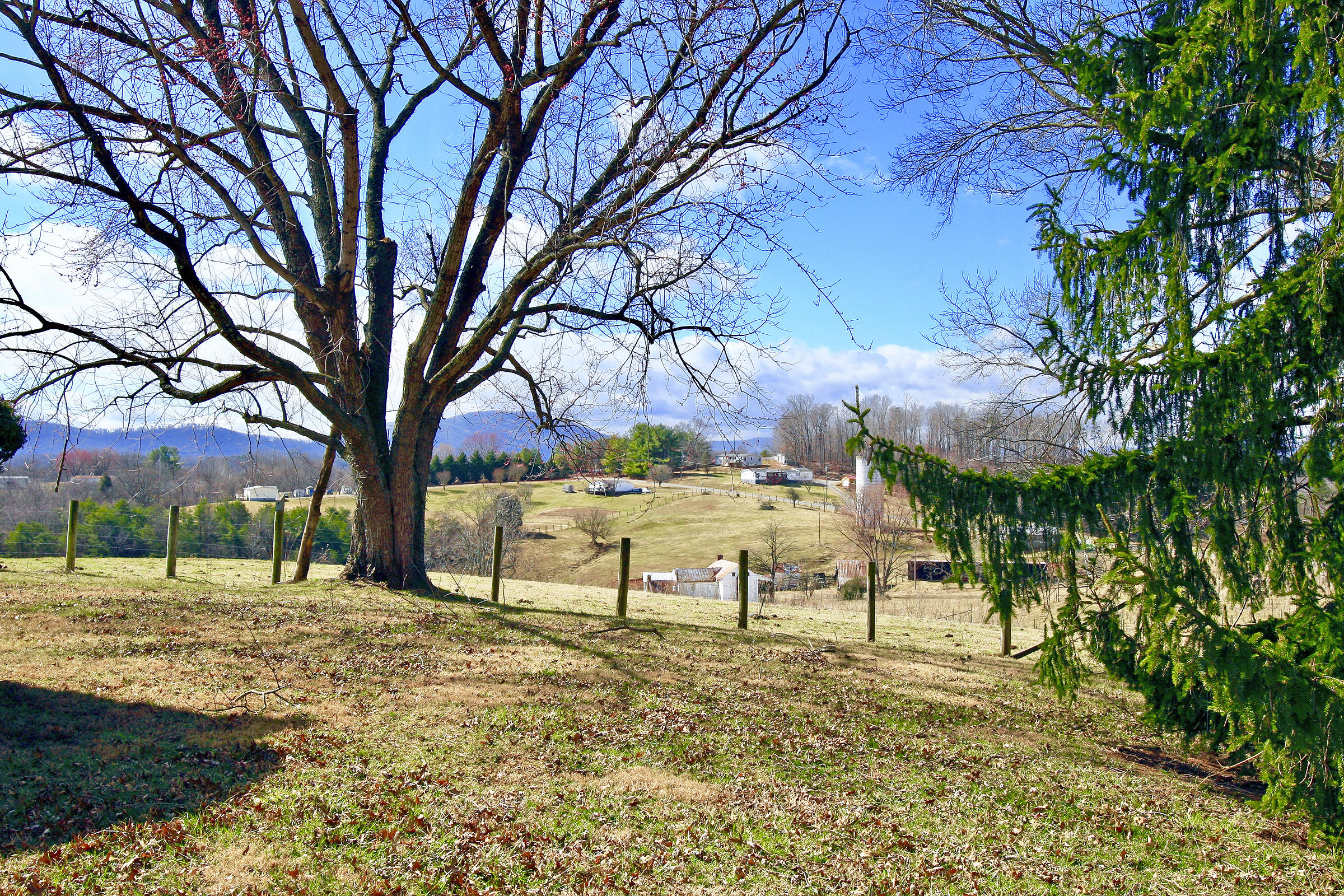 1870 Turner Branch Road Goodview, VA 24095 - Photo 40 of 52 LAND