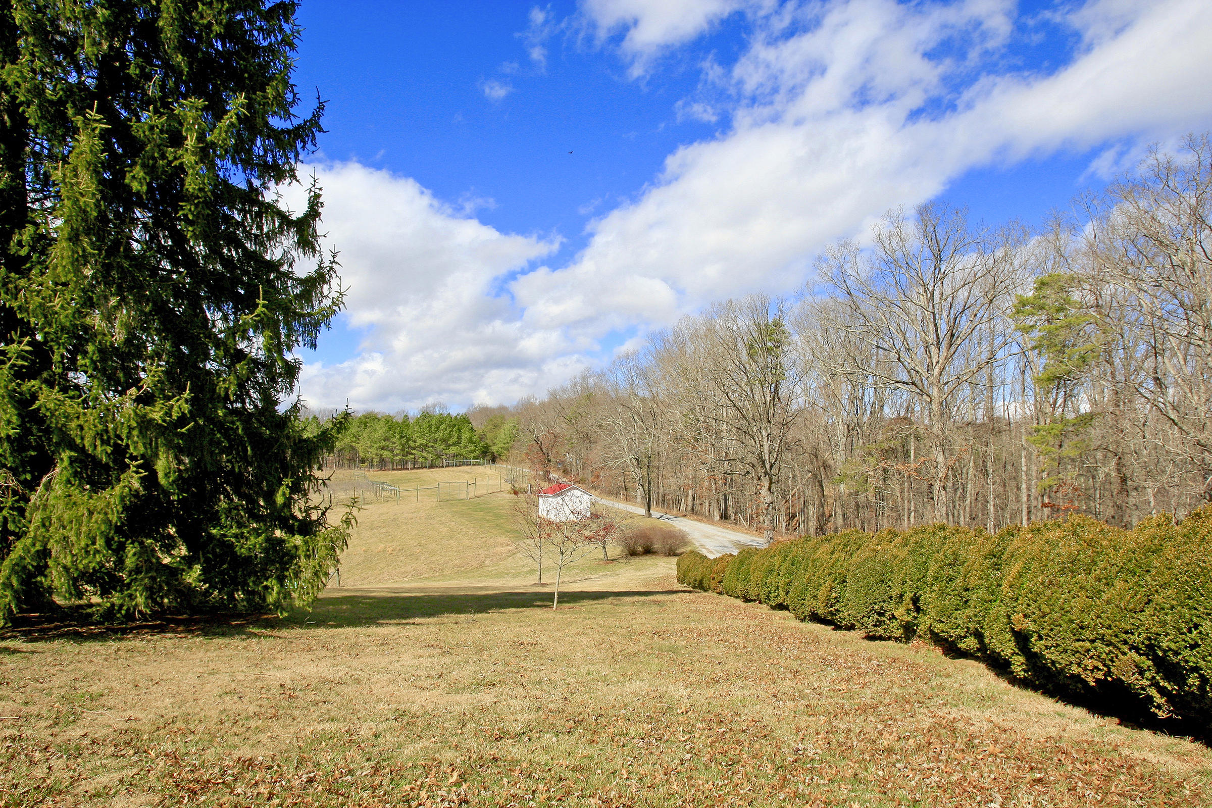 1870 Turner Branch Road Goodview, VA 24095 - Photo 41 of 52 LAND
