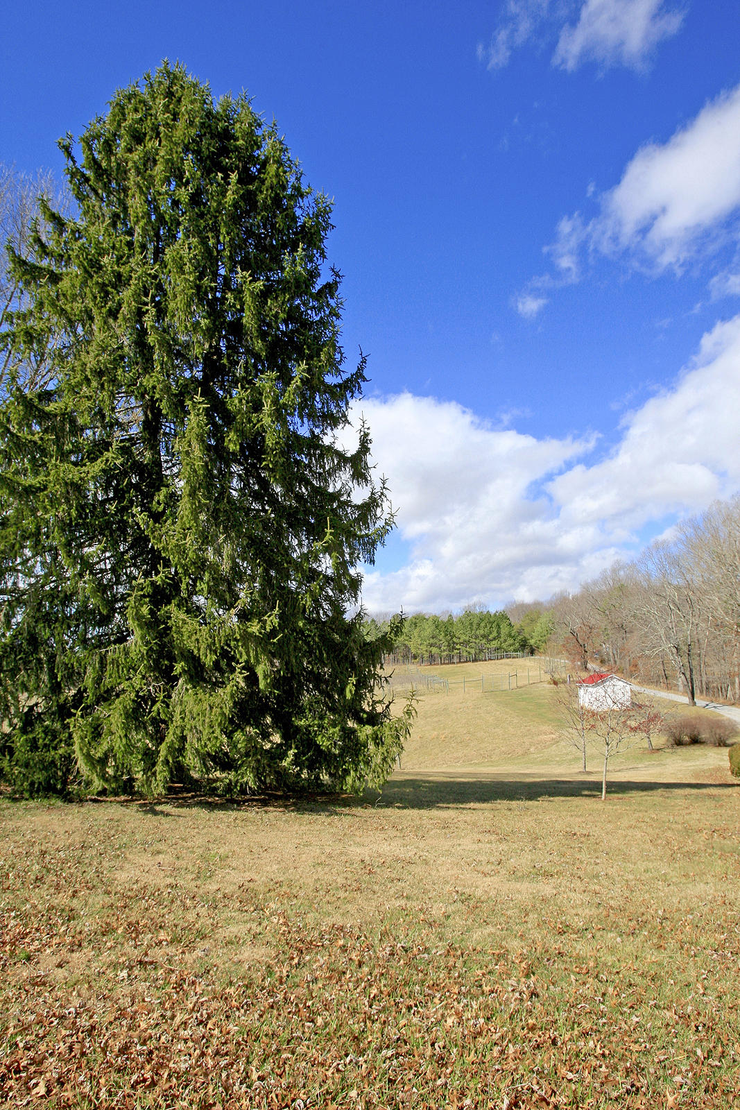 1870 Turner Branch Road Goodview, VA 24095 - Photo 42 of 52 LAND