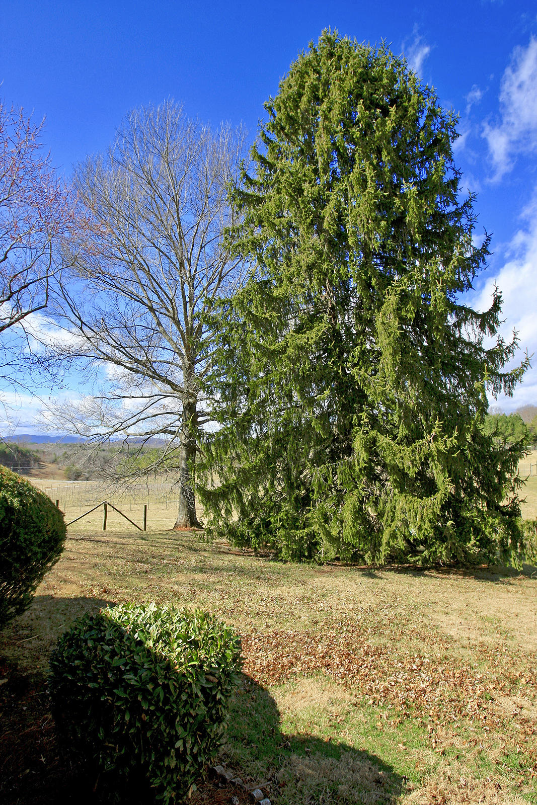 1870 Turner Branch Road Goodview, VA 24095 - Photo 43 of 52 LAND