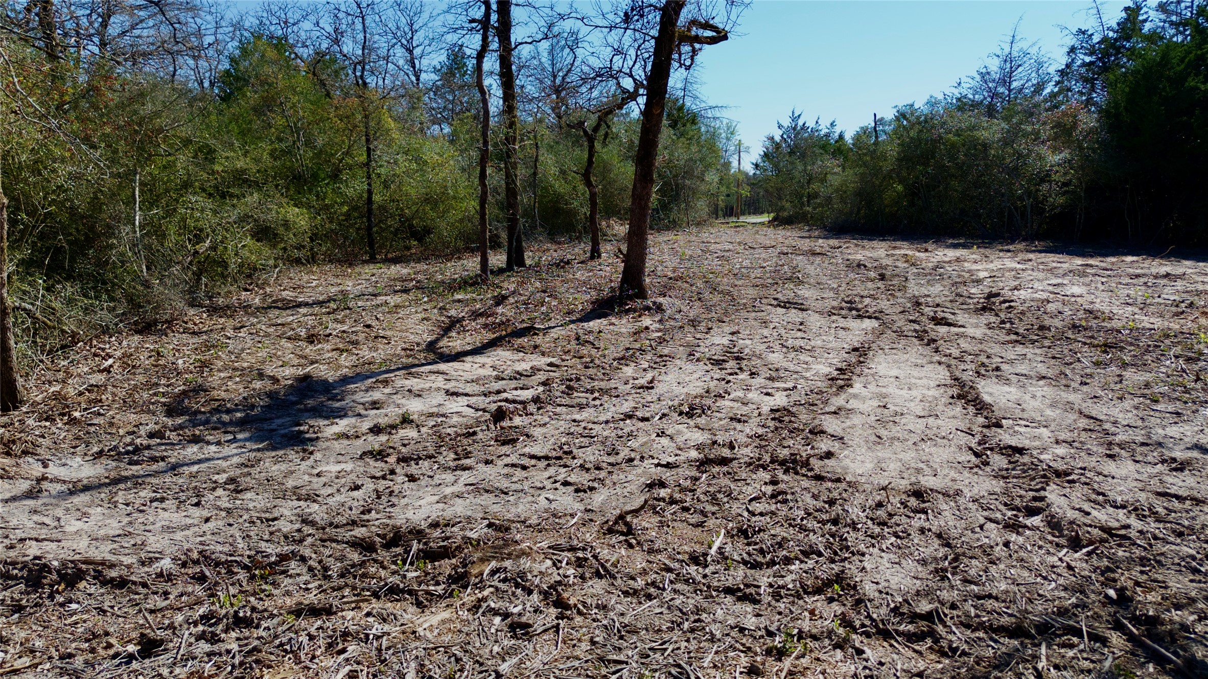 100 Pr 617 Roads Kosse, TX 76653 - Photo 10 of 26 a view of a yard with lots of bushes