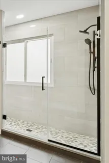 a bathroom with a shower and a toilet