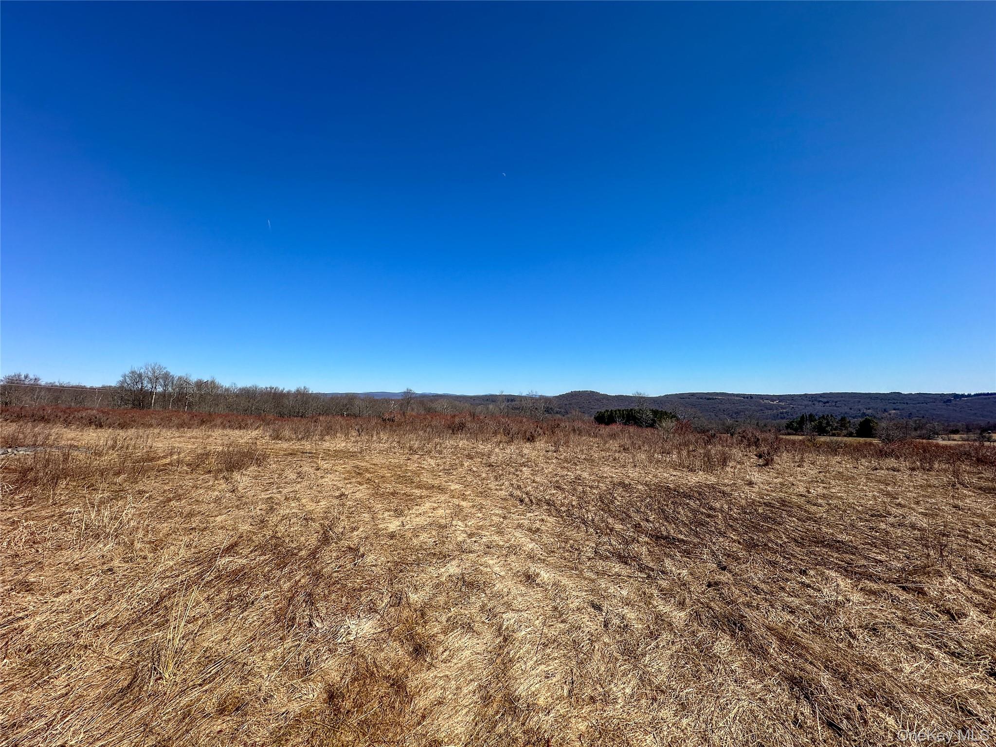 381 Dutch Hill Road Roscoe, NY 12776 - Photo 7 of 30