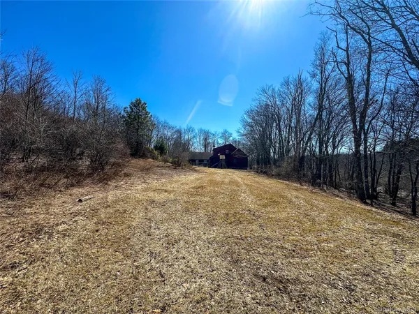 $620,000 | 381 Dutch Hill Road, Roscoe, NY 12776