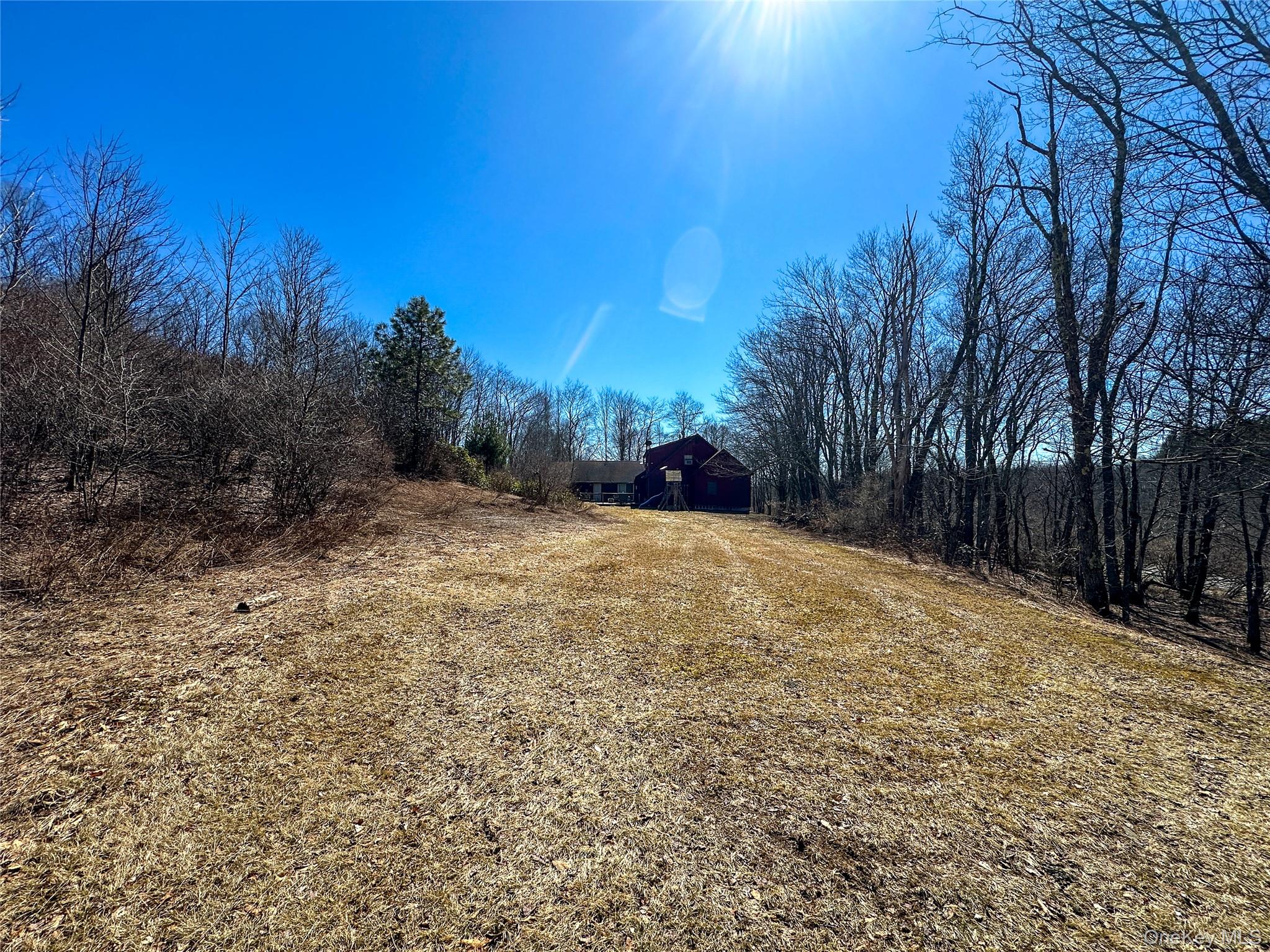 381 Dutch Hill Road Roscoe, NY 12776 - Photo 8 of 30