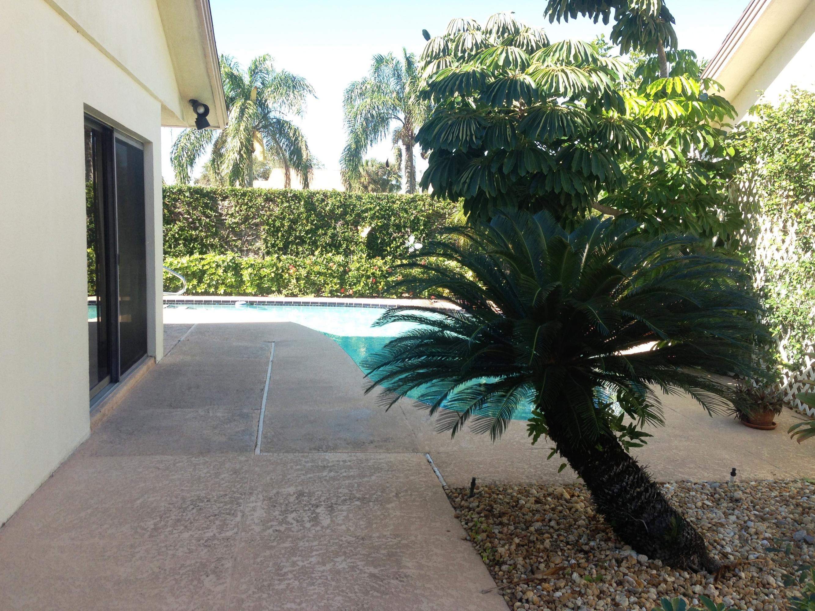 116 Sea Steppes Court Jupiter, FL 33477 - Photo 2 of 19 Pool and Side Yard