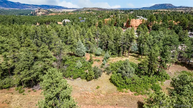 a view of a big yard with lots of bushes