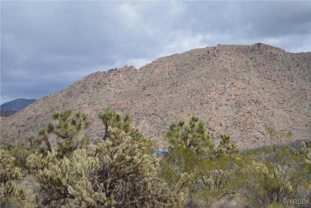 11900 Alan Road Yucca, AZ 86438 - Photo 87 of 99 Gallery Image 87