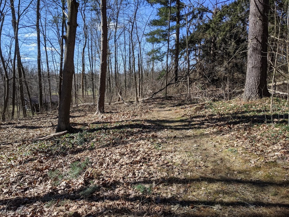 18507 Ridge Road North Royalton, OH 44133 - Photo 27 of 29