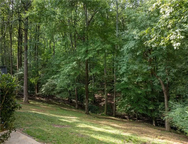 a view of a trees in a yard