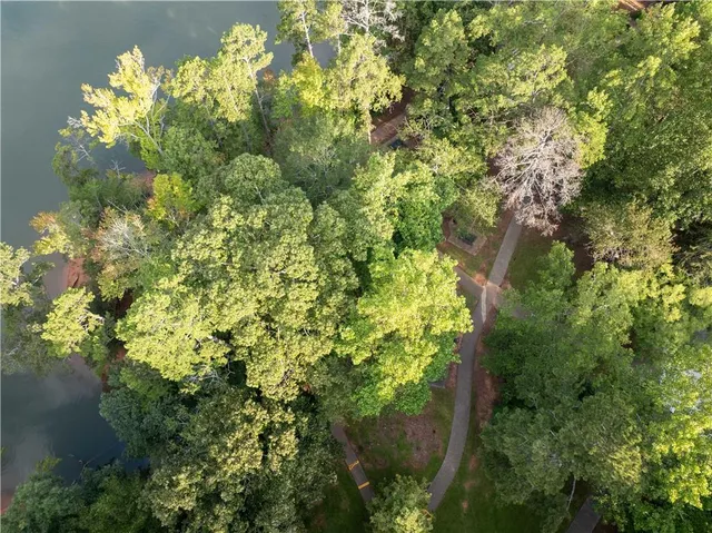 a view of a flower in a garden