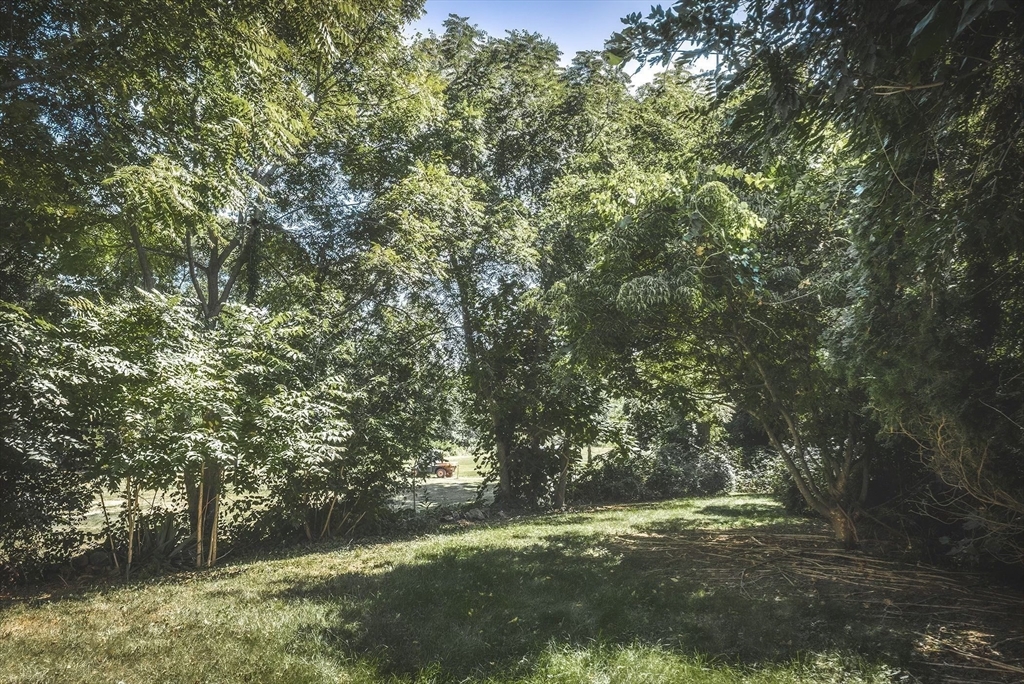 51 Turkey Shore Road Ipswich, MA 01938 - Photo 22 of 23 a view of a trees with a yard
