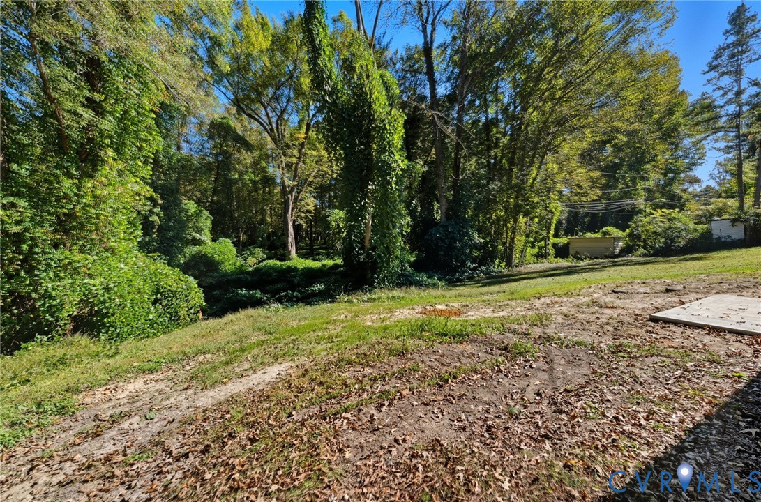 310 Stratton Street Crewe, VA 23930 - Photo 21 of 25 a view of backyard with green space