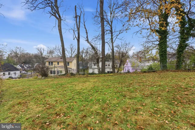 a view of a field with large trees