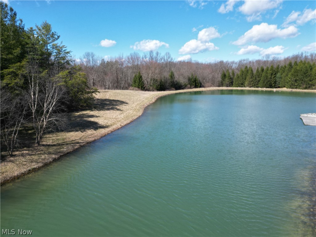 16474 Palmyra Road Lake Milton, OH 44429 - Photo 15 of 50