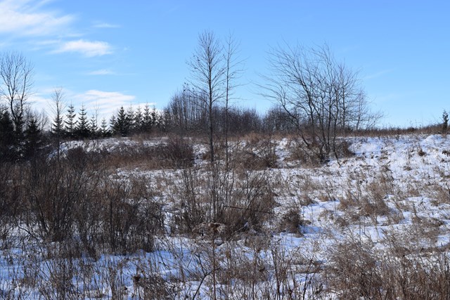 Lot 1 County Road Algoma, WI 54201 - Photo 10 of 13
