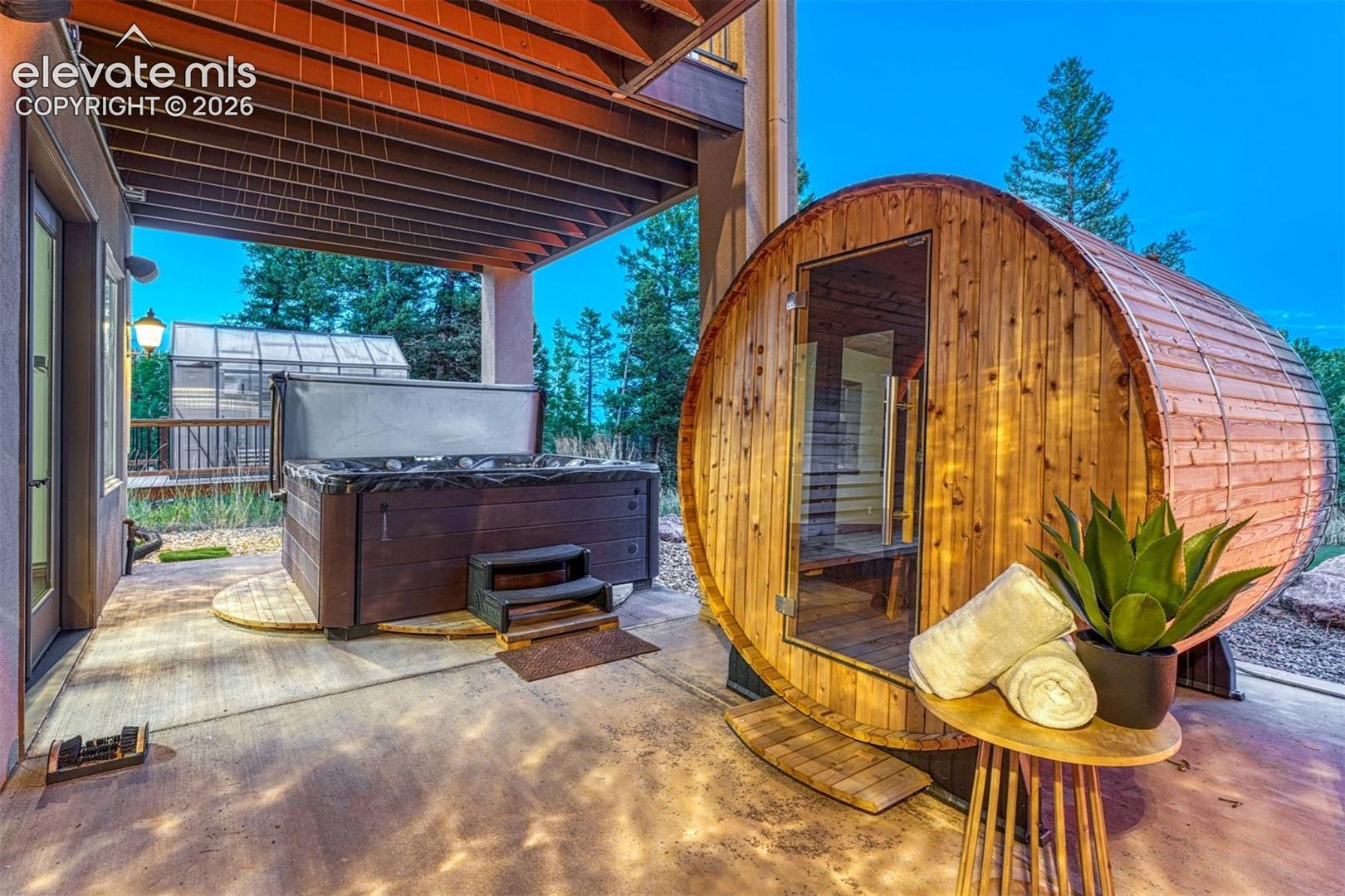 3200 Elk Ridge South Divide, CO 80814 - Photo 40 of 49 Walk out patio to Sauna, hot tub and greenhouse