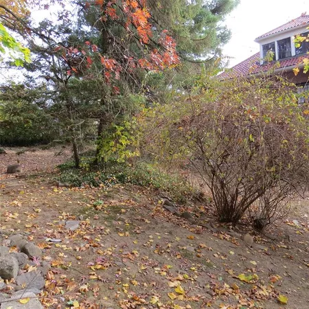 a big yard with lots of bushes