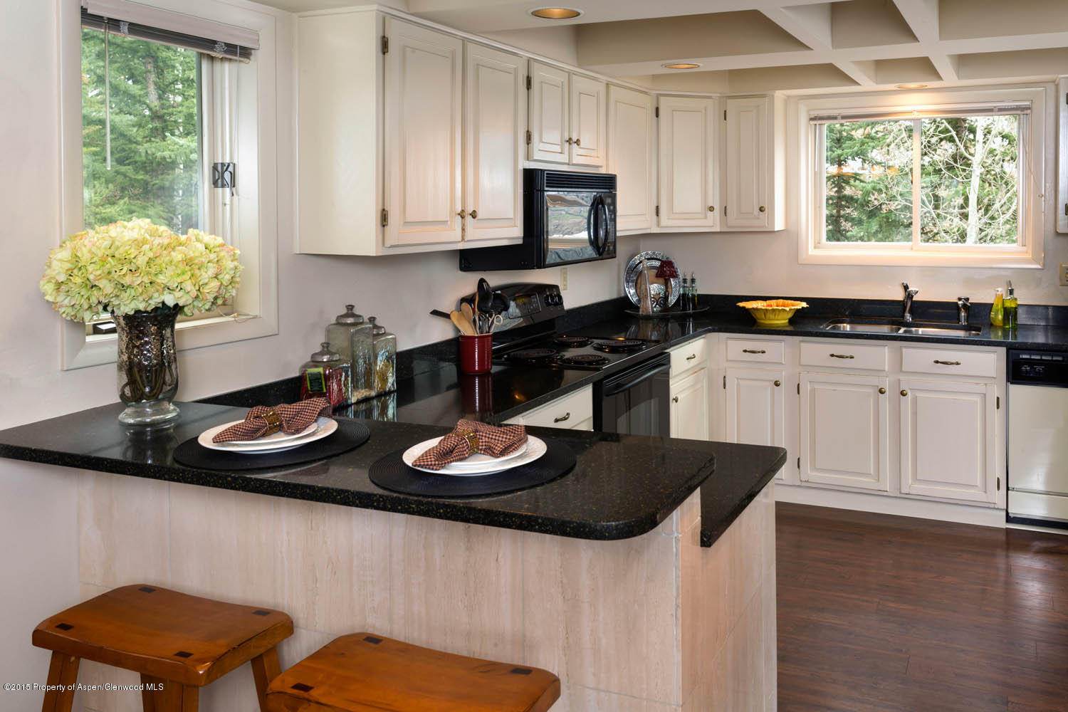 300 Meadow Ranch Road Snowmass Village, CO 81615 - Photo 8 of 23 kitchen.jpg