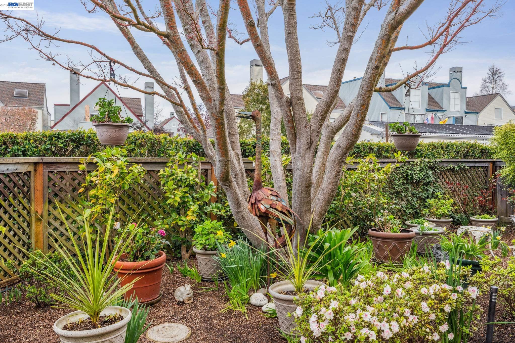 9 Regulus Court Alameda, CA 94501 - Photo 24 of 44