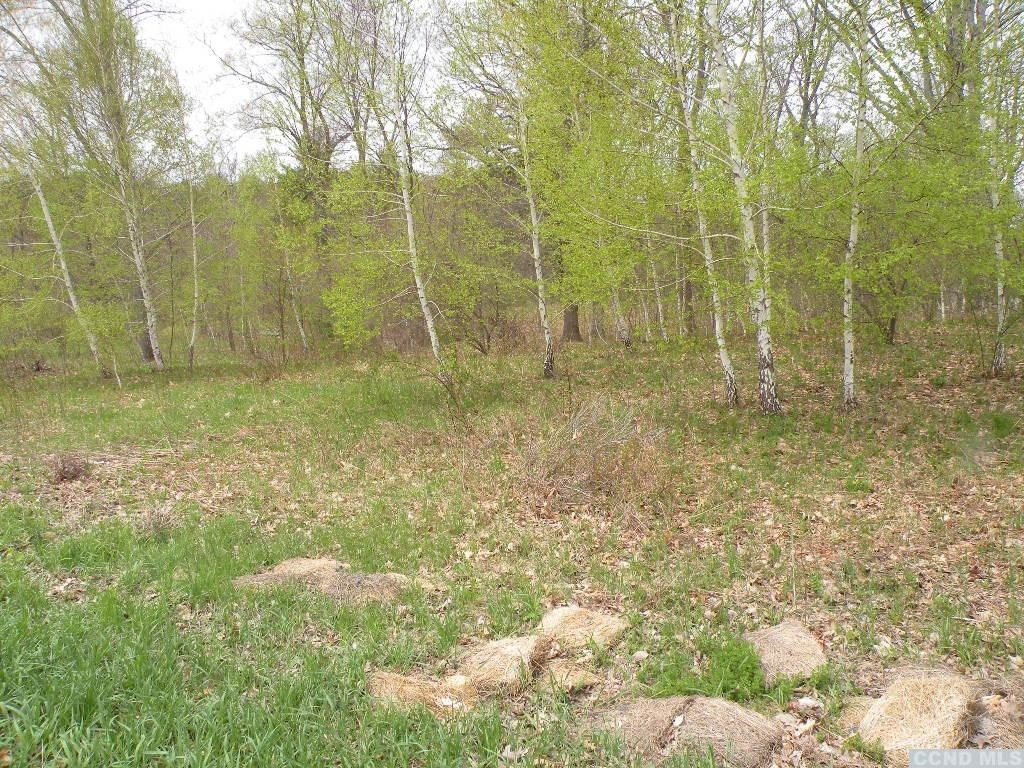 435 Red Mill Road Freehold, NY 12431 - Photo 3 of 12 Photo 3