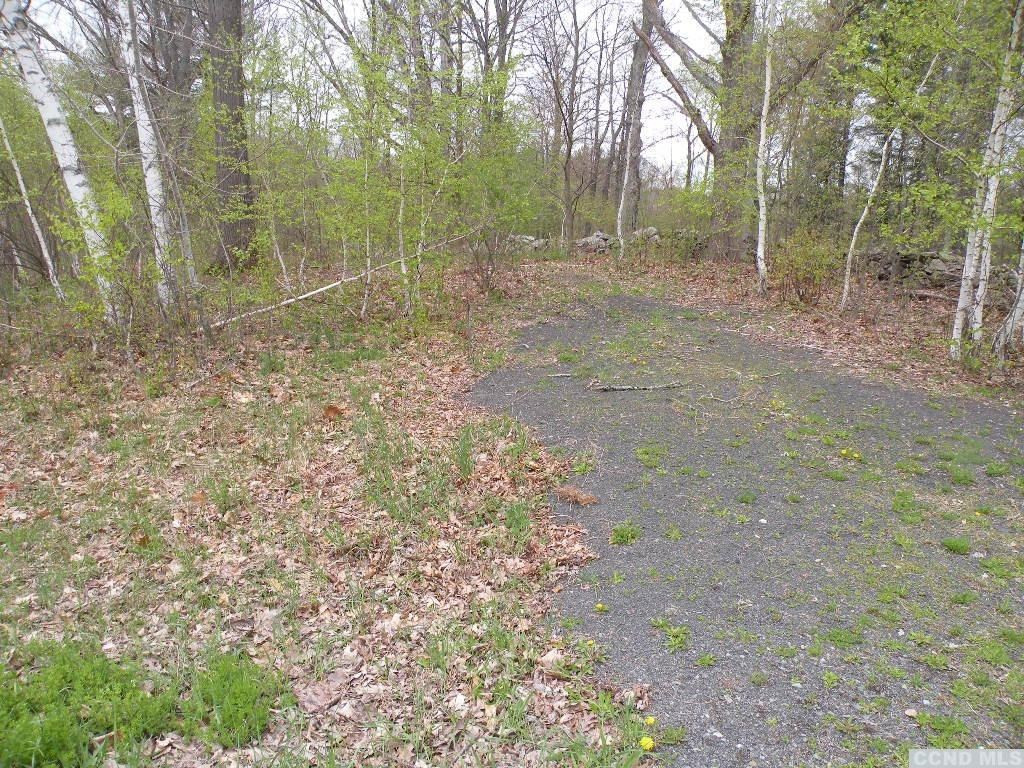 435 Red Mill Road Freehold, NY 12431 - Photo 4 of 12 Photo 4