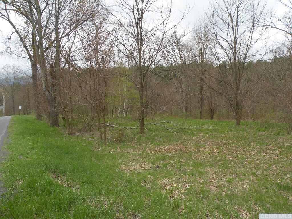 435 Red Mill Road Freehold, NY 12431 - Photo 5 of 12 Photo 5