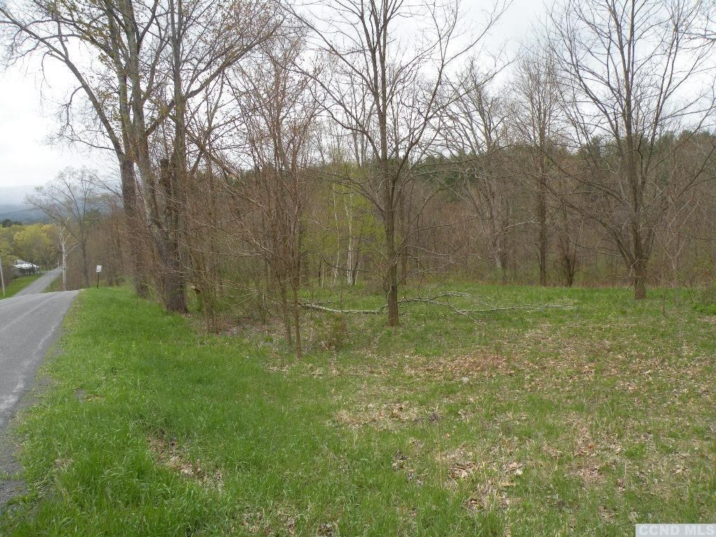 435 Red Mill Road Freehold, NY 12431 - Photo 6 of 12 Photo 6
