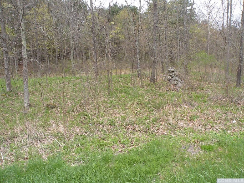 435 Red Mill Road Freehold, NY 12431 - Photo 7 of 12 Photo 7
