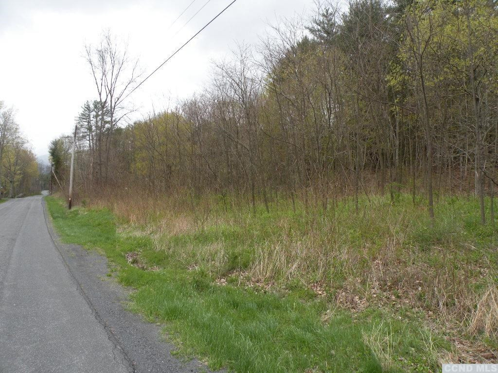 435 Red Mill Road Freehold, NY 12431 - Photo 8 of 12 Photo 8