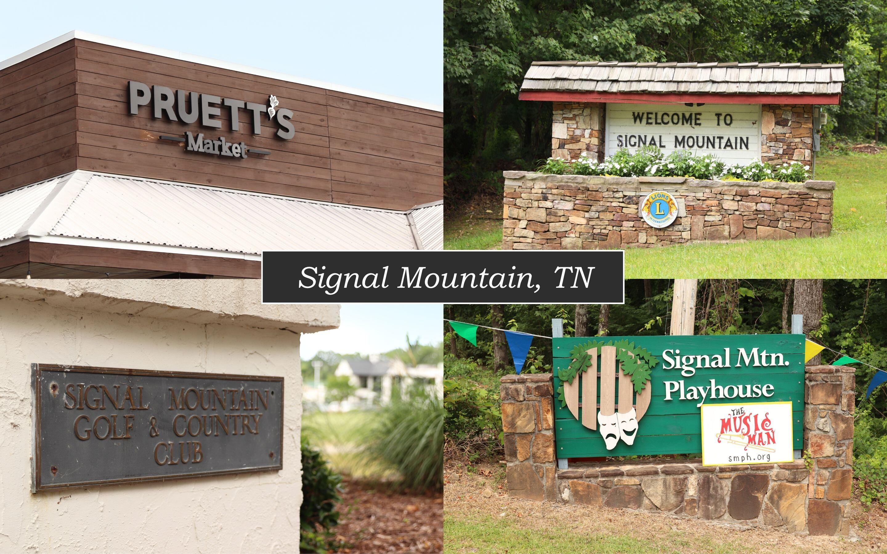 11 St Nicholas Way Signal Mountain, TN 37377 - Photo 56 of 62 Signal Mountain