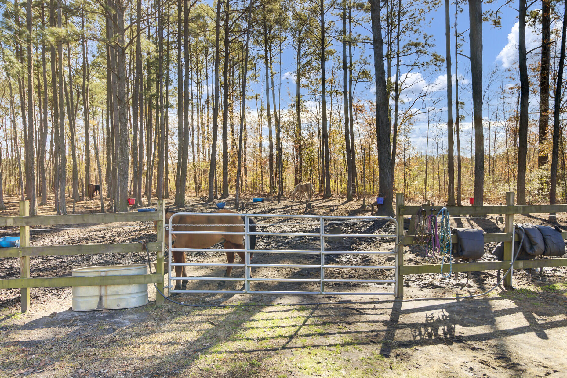 369 Groomsville Road Moncks Corner, SC 29461 - Photo 51 of 82 Fenced Pasture