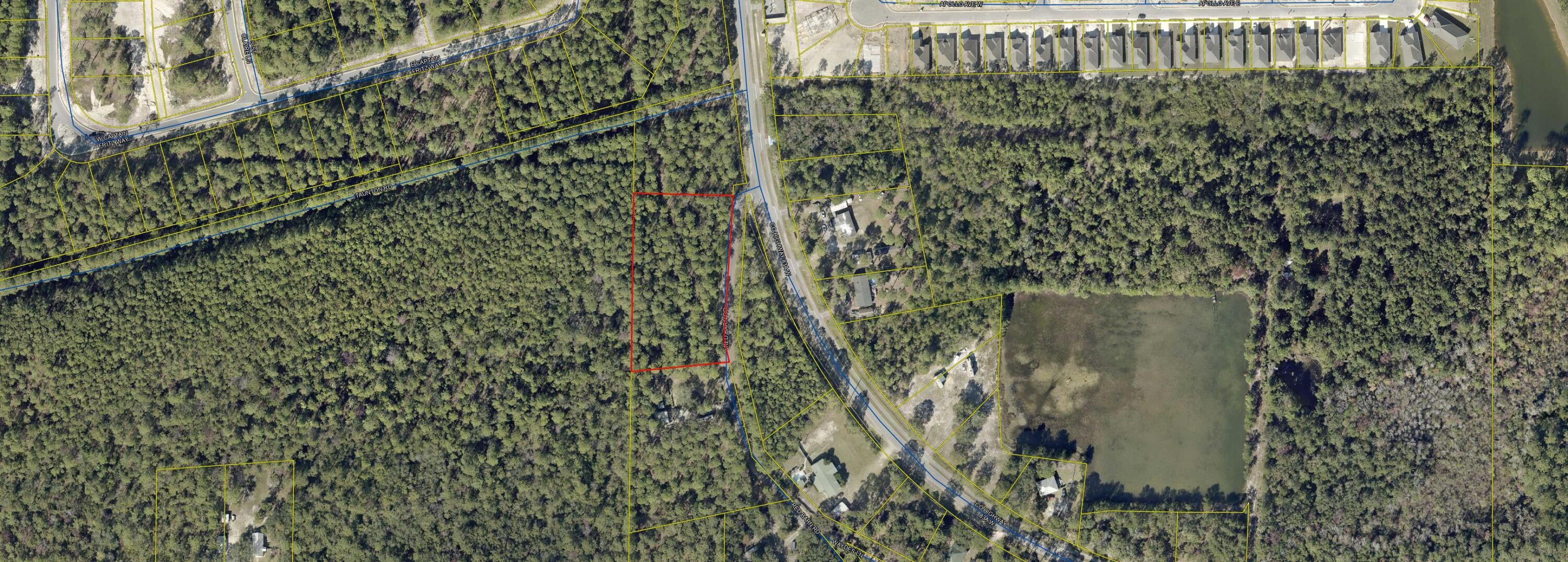 1.9-acres Red Barn Road Freeport, FL 32439 - Photo 4 of 11 a close up of a plant