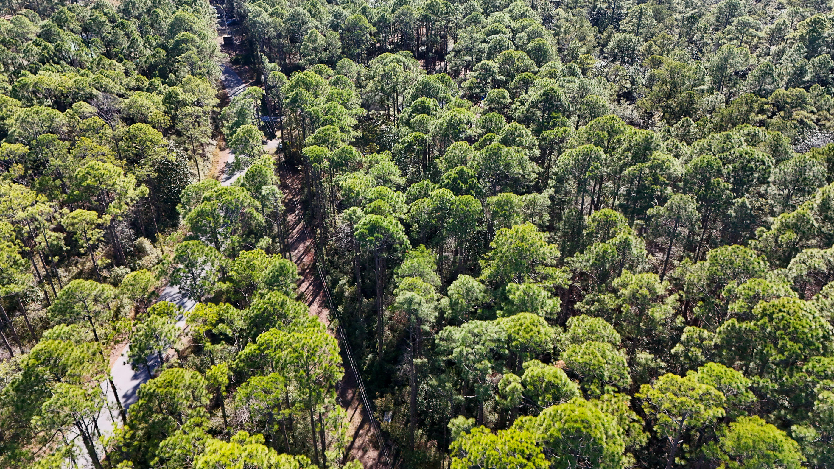1.9-acres Red Barn Road Freeport, FL 32439 - Photo 9 of 11 an aerial view of a houses with a yard