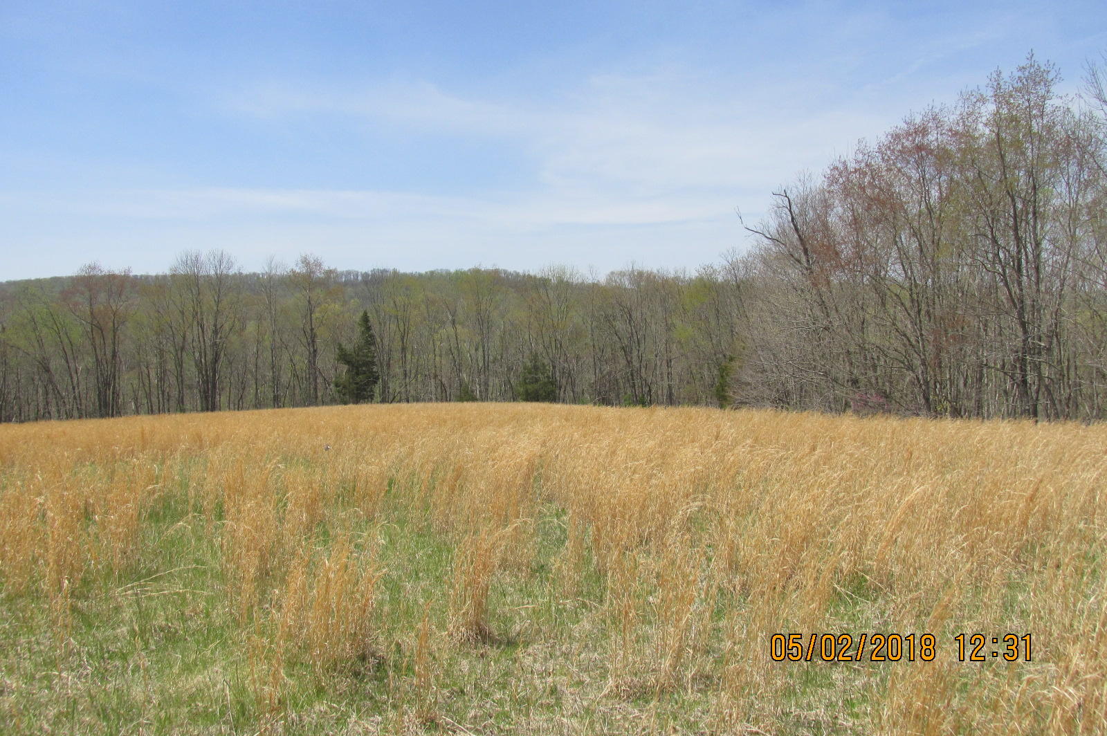 23-6 Oliver Ballard Road Union, WV 24983 - Photo 1 of 22 Gallery Image 1