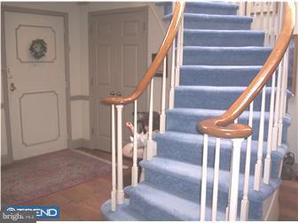 47 Chews Landing Road Haddonfield, NJ 08033 - Photo 2 of 12