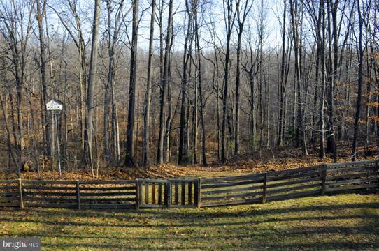 1431 Gilbert Road Arnold, MD 21012 - Photo 8 of 30 Exterior (General)