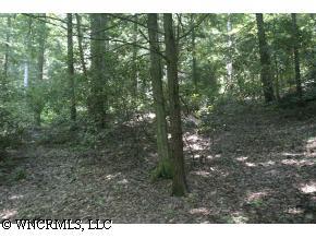 0 Blue Rock Road, Unit 17 Hendersonville, NC 28792 - Photo 2 of 2 Gallery Image 2