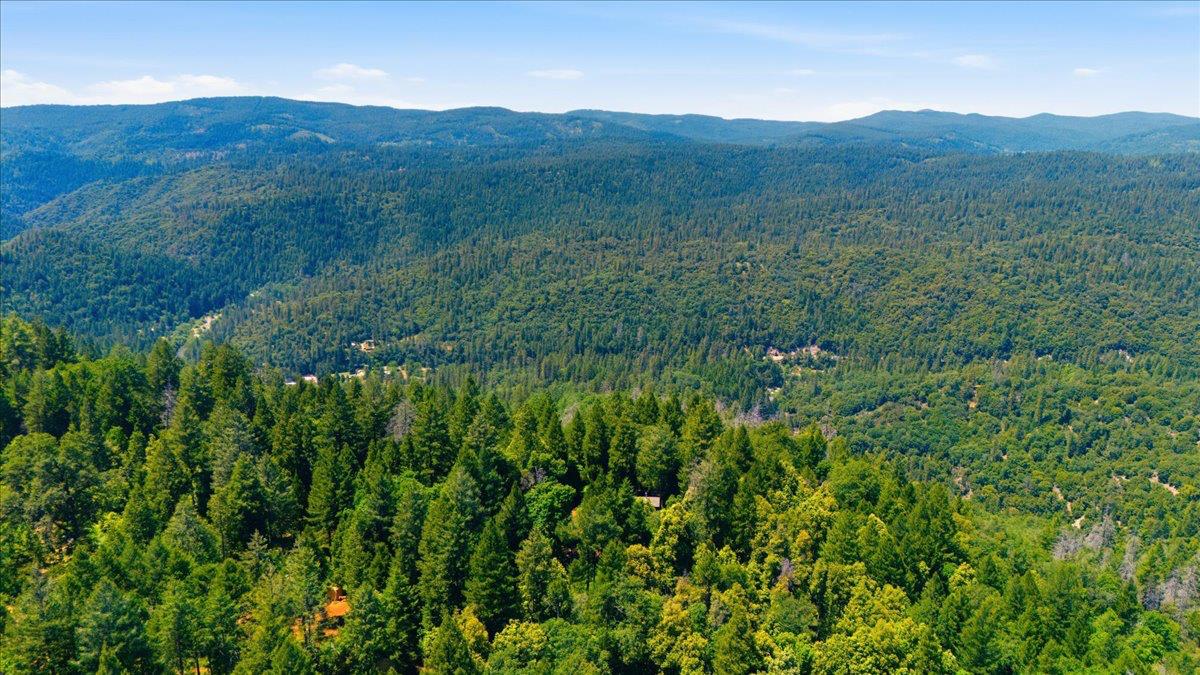 19643 Sages Road Nevada City, CA 95959 - Photo 27 of 39 a view of a lush green hillside and a mountain