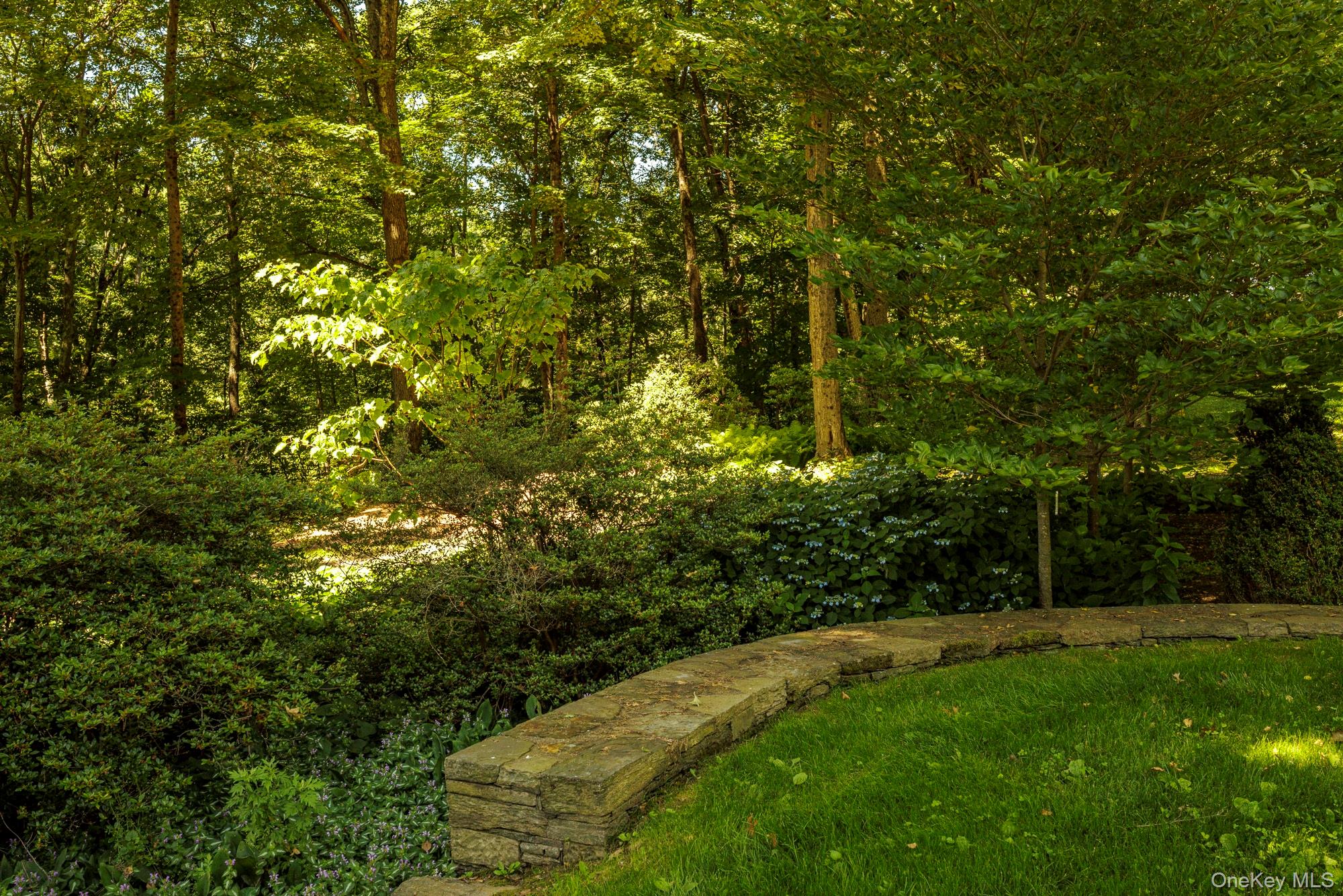 447 Butts Hollow Road Dover Plains, NY 12522 - Photo 16 of 27 a backyard of a house with lots of green space