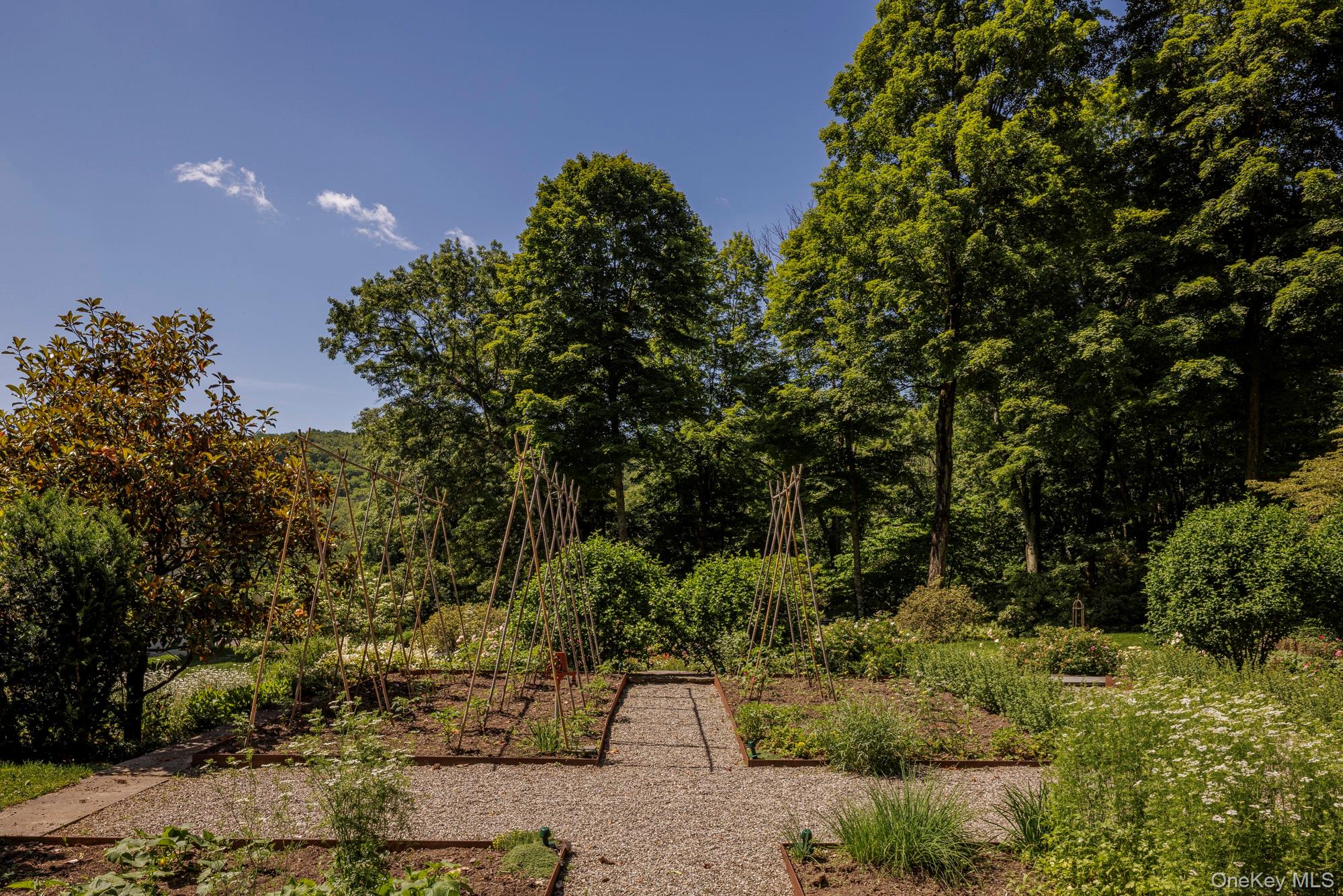 447 Butts Hollow Road Dover Plains, NY 12522 - Photo 21 of 27 a view of a garden with plants and large trees