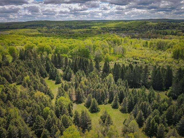 West Road Harrietta, MI 49638 - Photo 9 of 12 Gallery Image 9